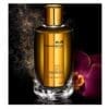 MANCERA INTENSIVE AOUD GOLD 120 ML SP EDP
