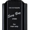JEANNE ARTHES SEXY BOY IRREVERSIBLE 100 ML SP EDT - Image 2
