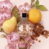 JIMMY CHOO 100 ML SP EDP