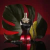 JEAN PAUL GAULTIER BELLE INTENSE 100 ML SP EDP - Image 2