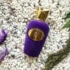 SOSPIRO ACCENTO 100 ML SP EDP - Image 3