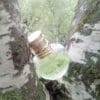 UNGARO FRUIT D'AMOUR GREEN 100 ML SP EDT - Image 4
