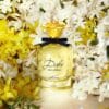 DOLCE GABBANA DOLCE SHINE 75 ML SP EDP - Image 3
