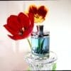 EAU DE CARTIER VETIVER BLEU 200 ML SP EDT