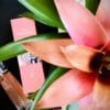 VERY IRRESISTIBLE LIVE 75 ML SP EDP - Image 4
