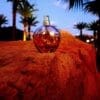 JENNIFER LOPEZ STILL 100 ML SP EDP - Image 4