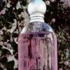 TESTER HALLOWEEN KISS SEXY 100 ML SP EDT - Image 4