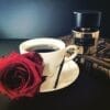 TIZIANA TERENZI DELOX 100 ML SP EDP U