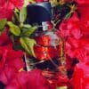 DOLCE  GABBANA 125 ML SP EDT - Image 3