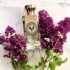 ELECTIMUSS TRAJAN 100 ML SP EDP - Image 3