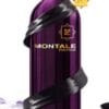 MONTALE AOUD GREEDY 100 ML SP EDP