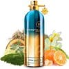 MONTALE AOUD LAGOON 100 ML SP EDP