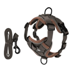Conjunto de arnés, correa ajustables, transpirables para gatos y perros pequeños - Imagen de 4