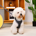 Conjunto de arnés, correa ajustables, transpirables para gatos y perros pequeños