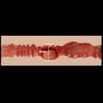 4cm