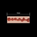 12cm
